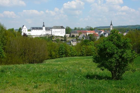 Blick auf eine Wiese mit dem Schloss Wildenfels im Hintergrund