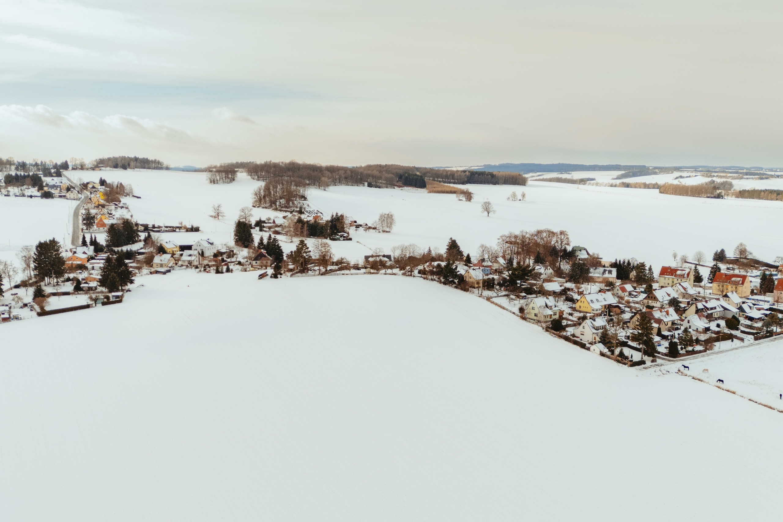 Wildenfelser Landschaft. Zu sehen ist der Ortsteil Wiesen im Schnee.